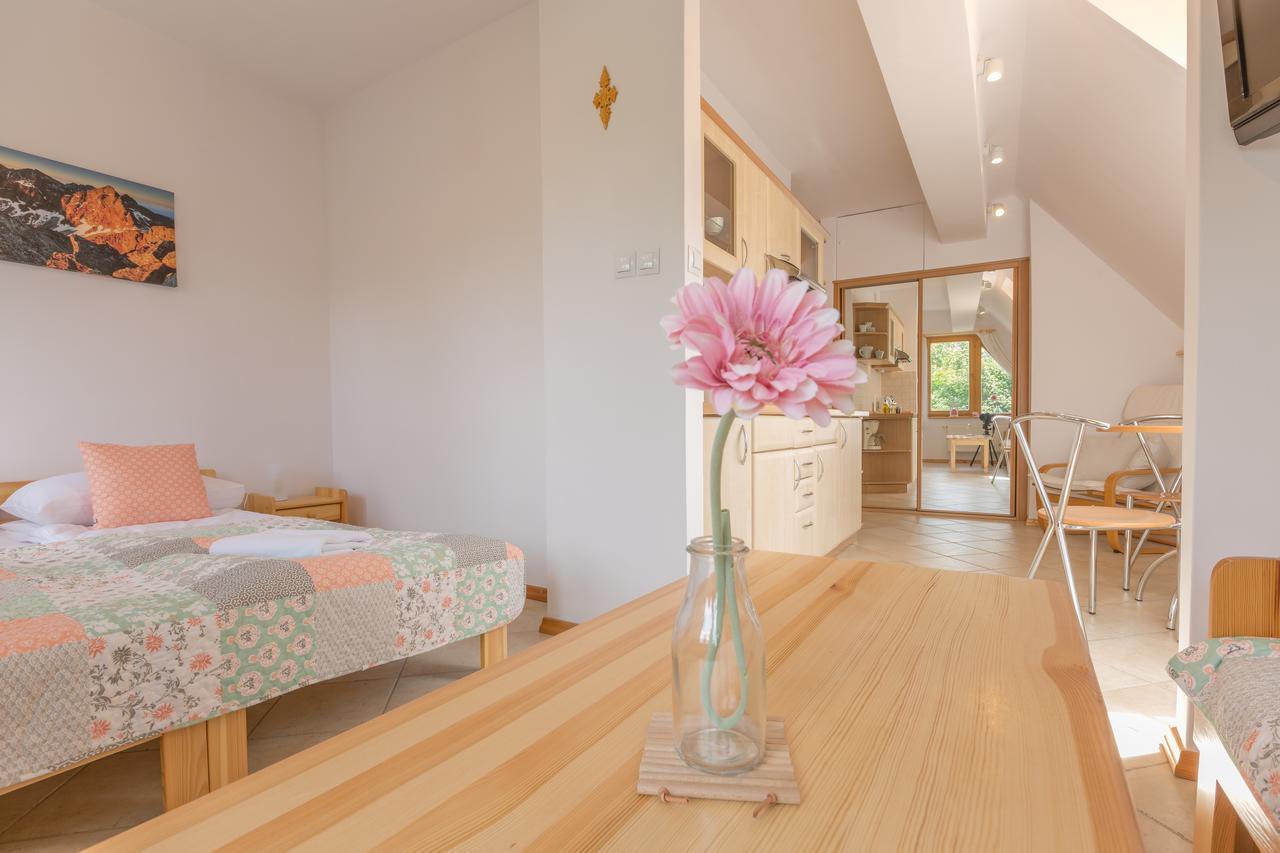 Rent Like Home - Orkana IV Centrum ザコパネ エクステリア 写真